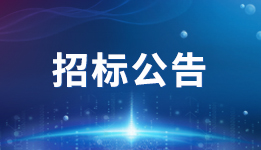 银娱优越会科技开展2024年度财务报告和内部控制审计服务供应商遴选招标工作的公告